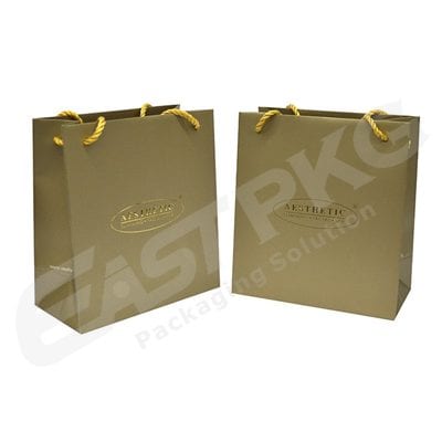 Shopping Paper Bag with Twisted PP