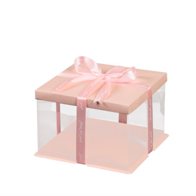 cake box for Chritsmas gift