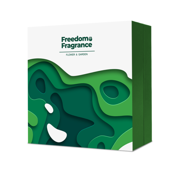 Window Cutout Box Design packaging illustration