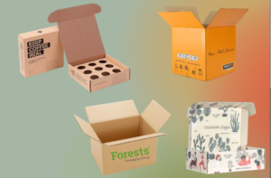 Corrugated Cardboard Box packaging illustration