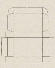 Packaging Printing Production